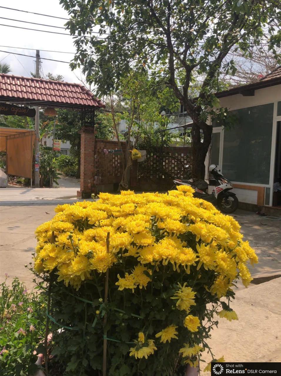 Gecko House Hotel Duong Dong Exterior foto